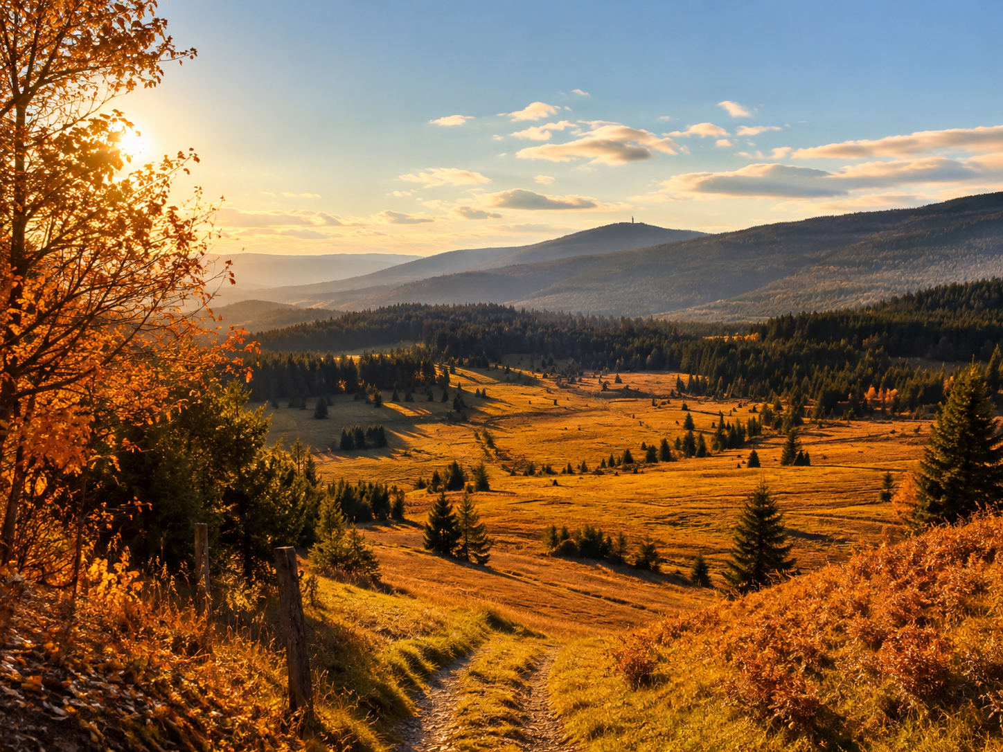 Šumava
